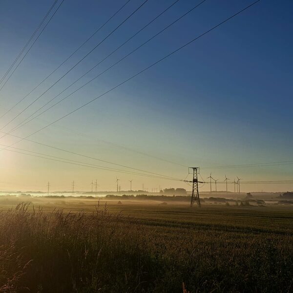 Grobiņas robeža - Madara Jaunzeme