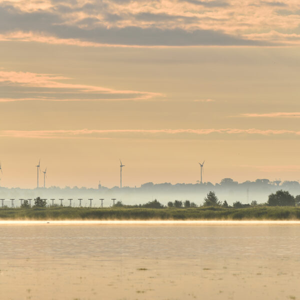 Liepāja, Liepājas ezers - Andžela Daļecka