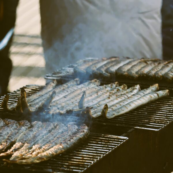 Nēģu svētki Pāvilostā