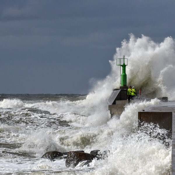 Pāvilsota, Dienvidu mols - Andžela Daļecka