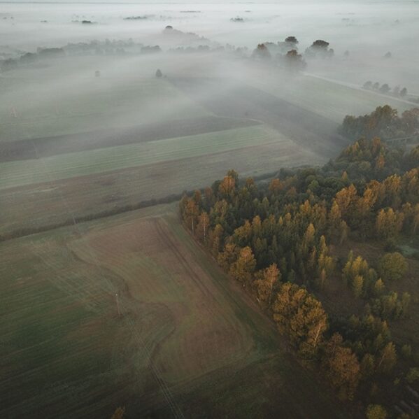 Rude, Otaņķu pagasts - Māris Ankevics