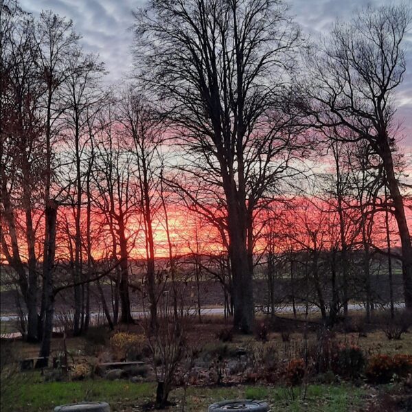 Iluta Skudrīte "Sarkanbaltsarkans" "Stroļi"