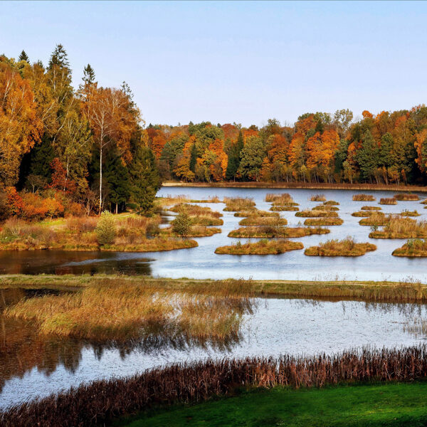 Skats no Volzbaha kalna, Vaiņodes pagasts - Dina Kopštāle 