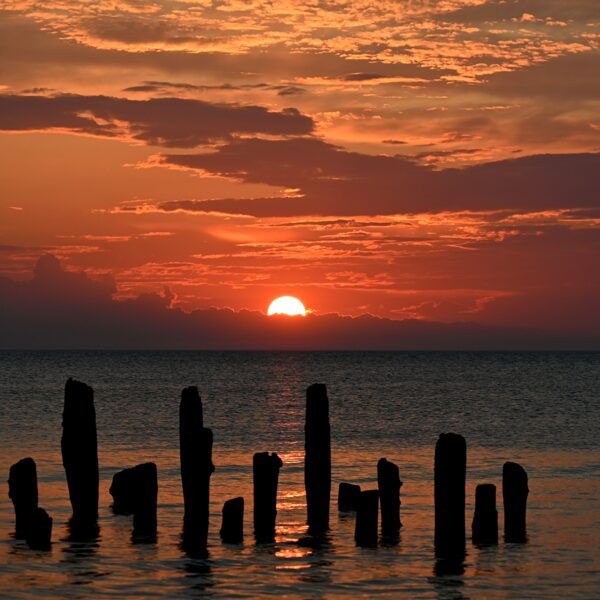 Strante, Līgo saulriets - Daiga Zvejniece
