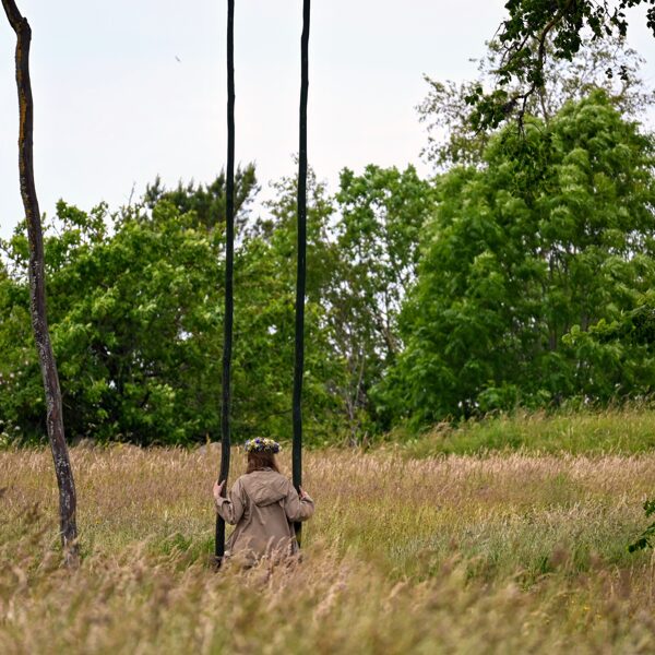 Strante, Līgo vakars - Daiga Zvejniece