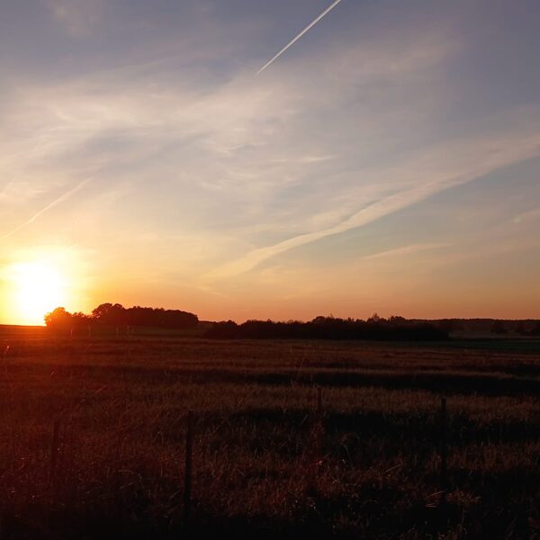 Tadaiķu pagasts, Lieģi - Līga Jaunzeme