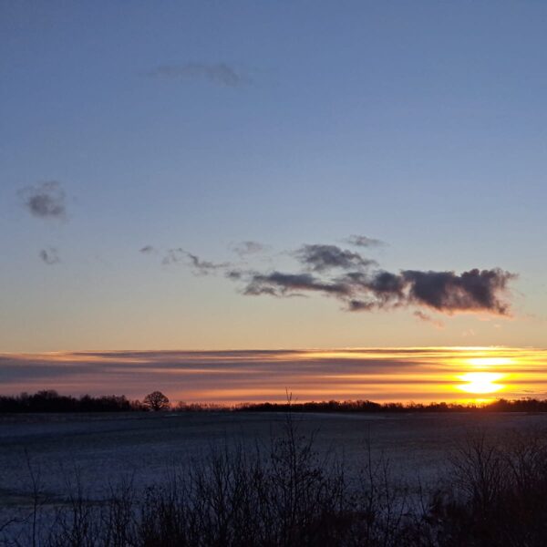 Tadaiķu pagasts, Lieģi - Līga Jaunzeme