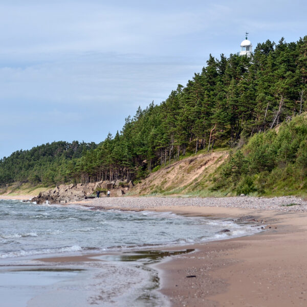 Užava, Užavas bāka - Andžela Daļecka