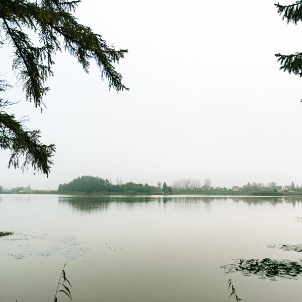 Vērgale, Vērgales pagasts - Elvita Petrauska