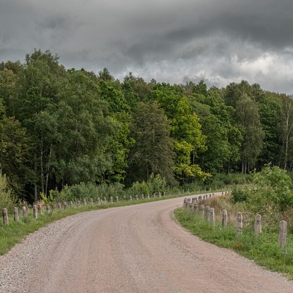 mani draugi.. baltie ceļa stabi - Andris Dūmiņš