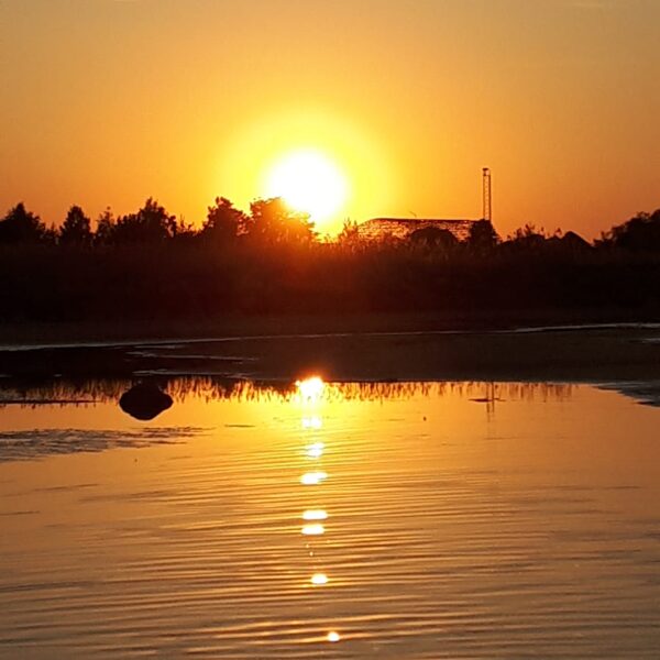 Aleksandra Elizabete Čekstere "saulriets" Saule lec