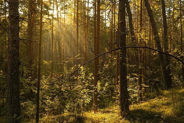 Bernātu dabas parks, Dienvidkurzeme - Jānis Matuks