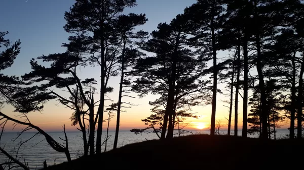 Bernāti, saulriets - Diāna Ansule