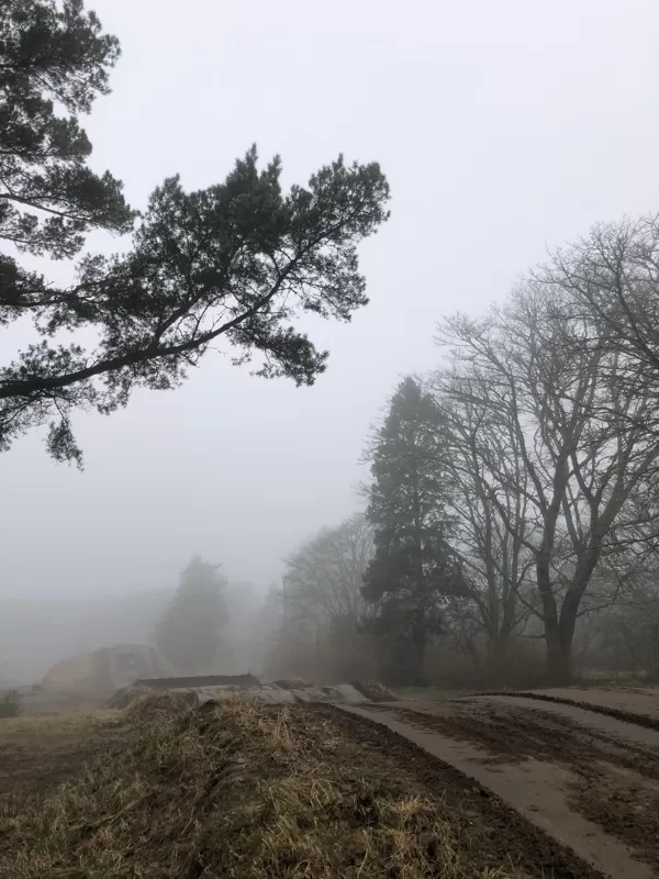 Elvita Uzare "Miglas tīts rīts" Ulmales mototrase