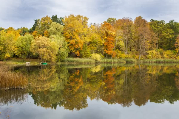 Terēze Štube "Rudens ritmi" Kazdanga