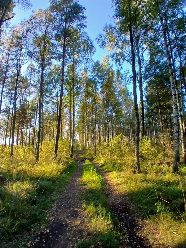 Ainars Brēdiķis "Rudens" Ziemupe " Rubeņi"