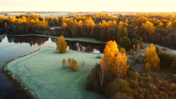 Gunārs Tiesnesis "Zelta rudens" Priekule