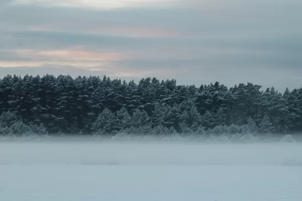 Kristiāna Mame "Miglas blūzs" Pāvilosta - Ulmale