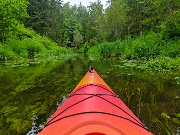 Ruta Siksna "Durbes upe vasaras izskaņā" Durbes upes loki
