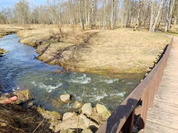 Ruta Siksna "Miers un saule Priekulē" Priekules vietējais parks pie skolas
