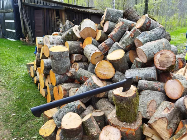 Ruta Siksna "Sporta zāle svaigā gaisā" Priekule/Saulaine