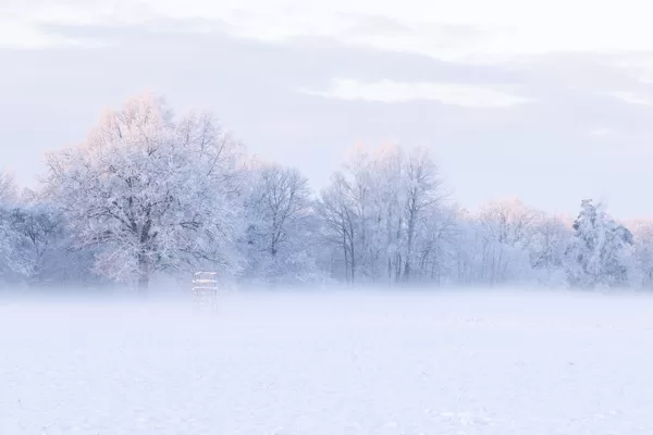 Terēze Štube "Ziemas spelgonis" Aizputes pagasts
