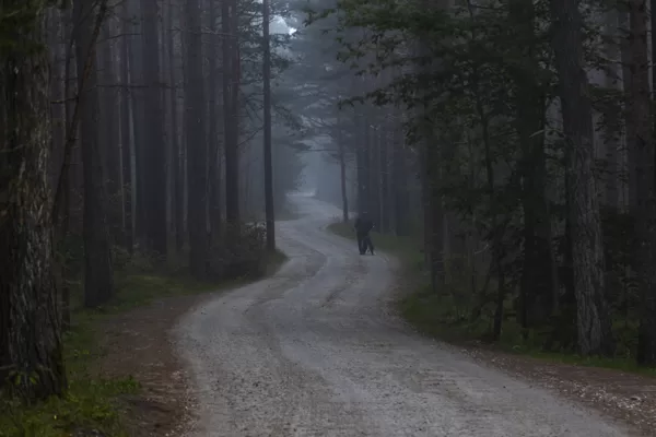 Terēze Štube "Noslēpums" Bernāti