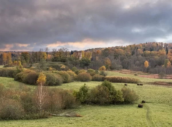 Setlana Sorokina "Rudens" Embūte