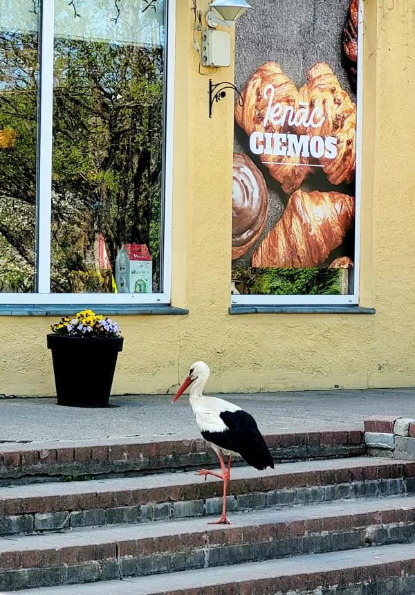 Rudīte Bērziņa "Dienvidkurzemes novadā gardumi visām gaumēm!" Vērgale