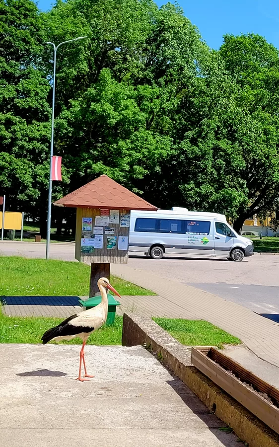 RUDĪTE BĒRZIŅA "Apceļosim Dienvidkurzemes novadu!" Vērgale