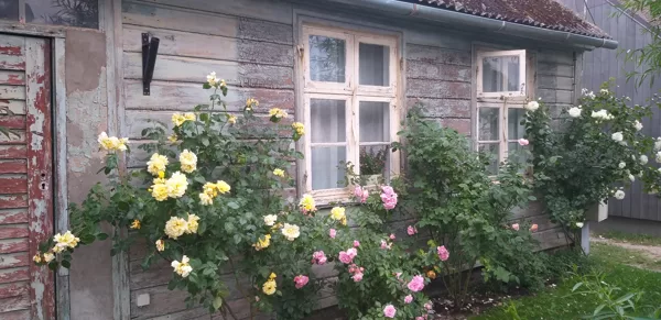 Inita Beihmane "Senskaists" Pāvilosta