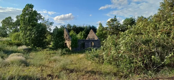 Madara Strazde "Noraut jumtu vējam izdodas" Pape