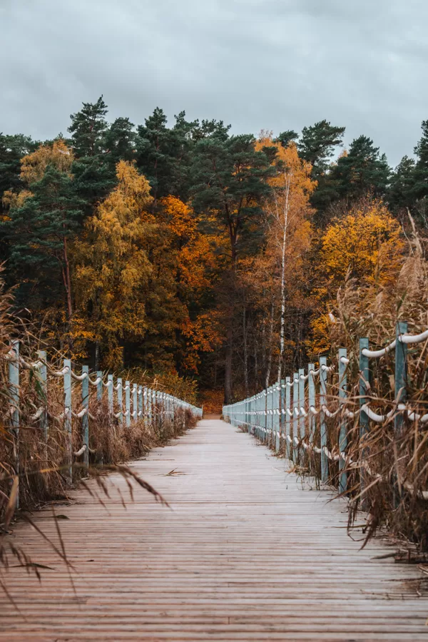 Līga Konončuka "Pastaiga pa rudens laipu" Kazdangas dzirnavezers