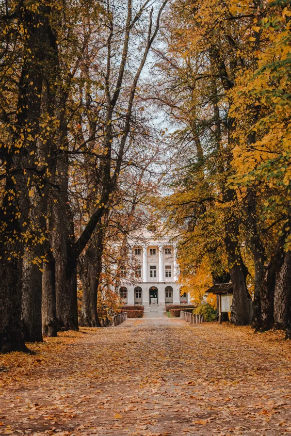 Līga Konončuka "Rudenīgais ceļš uz muižu" Kazdangas muižas parks