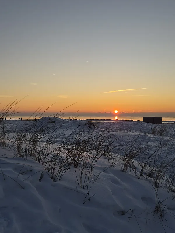 Liepāja - Bruno Skara