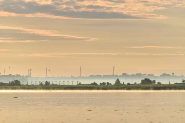 Liepāja, Liepājas ezers - Andžela Daļecka