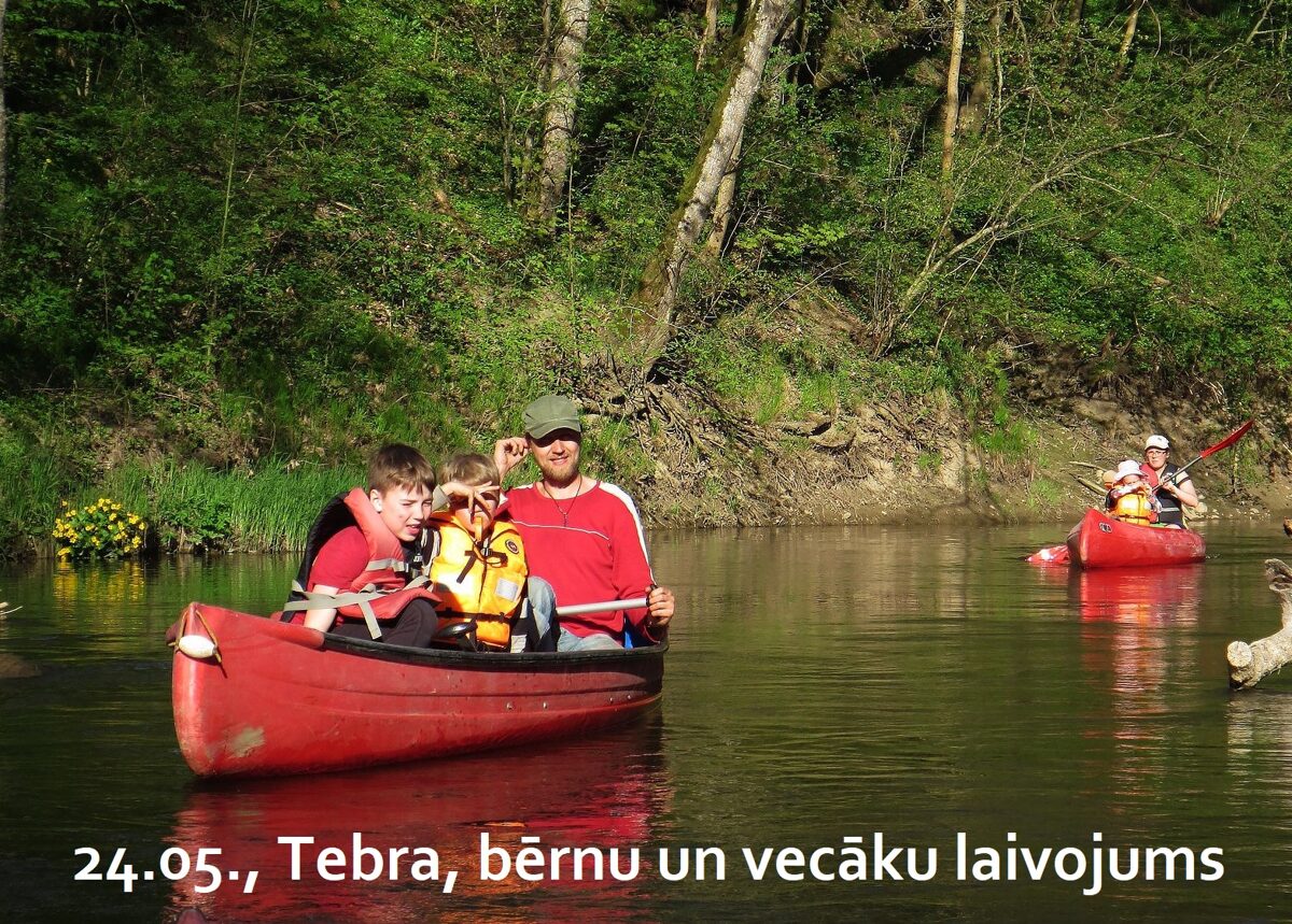tebra.jpg